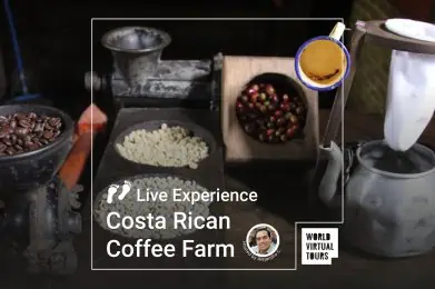 Live Experience - Costa Rican Coffee Farm