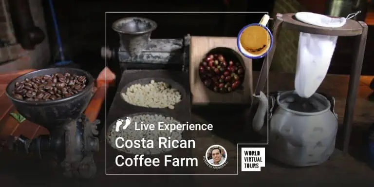 Live Experience - Costa Rican Coffee Farm