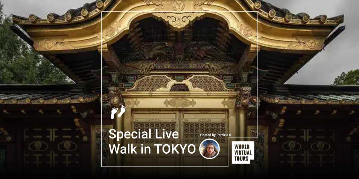 Walk In Tokyo Special Live Walk in TOKYO - World Virtual Tours