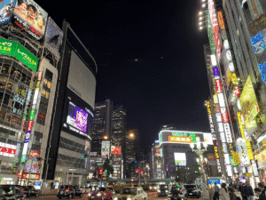 002 ShinjukuByNight