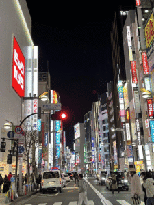 004 ShinjukuByNight