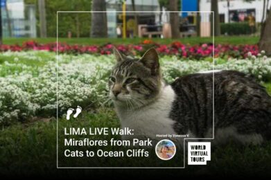 LIMA LIVE Walk: Miraflores from Park Cats to Ocean Cliffs