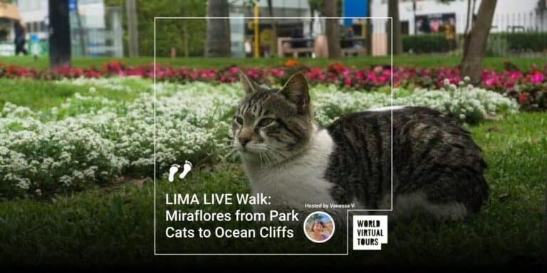 LIMA LIVE Walk: Miraflores from Park Cats to Ocean Cliffs