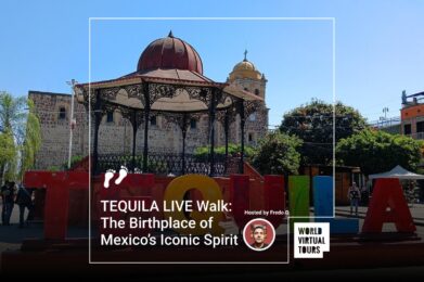 TEQUILA LIVE Walk: The Birthplace of Mexico’s Iconic Spirit