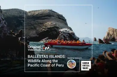 BALLESTAS ISLANDS: Wildlife Along the Pacific Coast of Peru