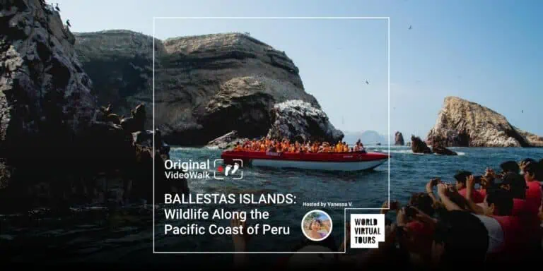 BALLESTAS ISLANDS: Wildlife Along the Pacific Coast of Peru