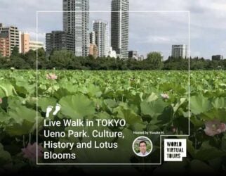 Live Walk in TOKYO Ueno Park. Culture, History and Lotus Blooms