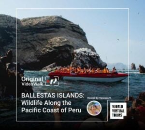 BALLESTAS ISLANDS: Wildlife Along the Pacific Coast of Peru
