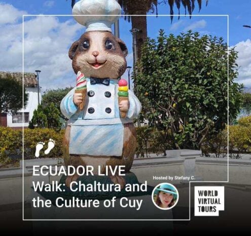 Ecuador live walk: chaltura and the culture of cuy