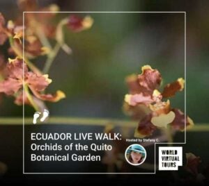 ECUADOR LIVE WALK: Orchids of the Quito Botanical Garden