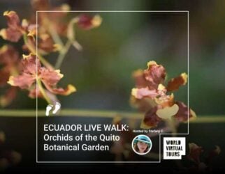 Ecuador live walk: orchids of the quito botanical garden