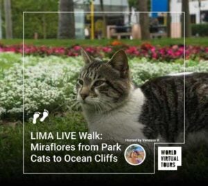 Lima live walk: miraflores from park cats to ocean cliffs