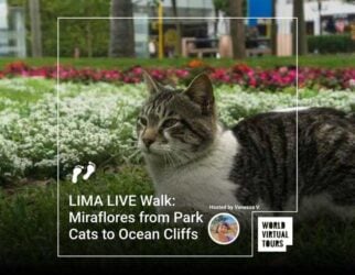 Lima live walk: miraflores from park cats to ocean cliffs