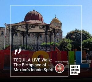Tequila live walk: the birthplace of mexico’s iconic spirit