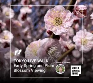 TOKYO LIVE WALK: Early Spring and Plum Blossom Viewing